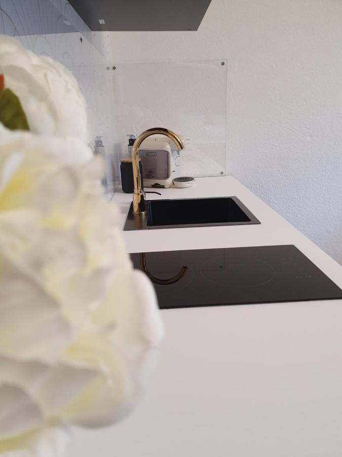 Melody Apartment Mit E-Ladesaeule Und Mobiler Klimaanlage Gelsenkirchen Esterno foto